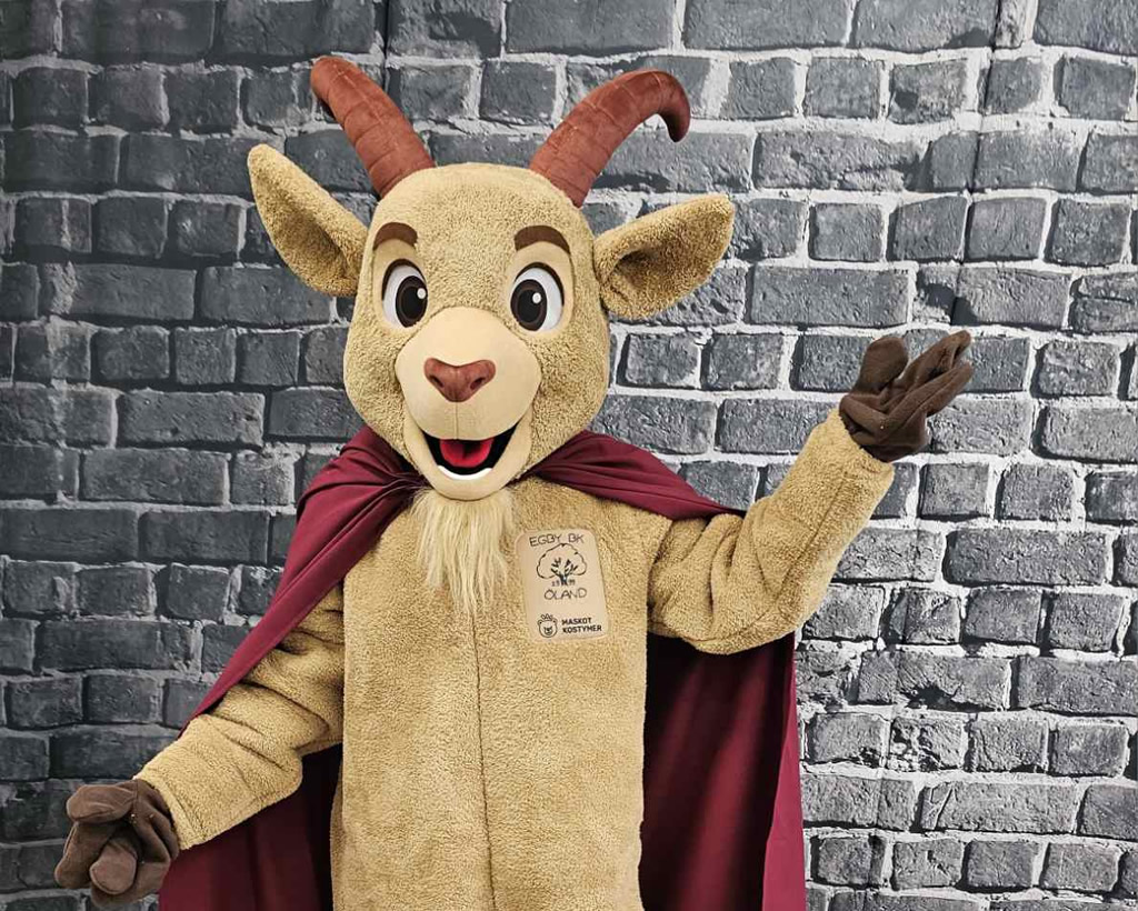 Mascot costumes